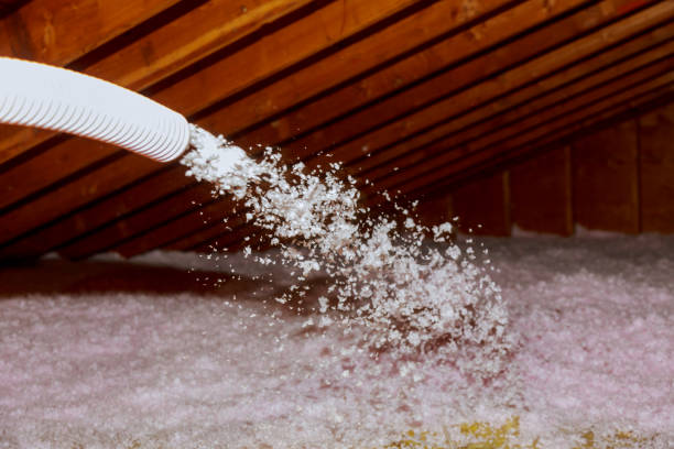 Best Specialized Insulation Services in Hendron, KY